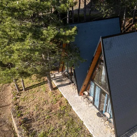 Golden Gjinar By Pikhost