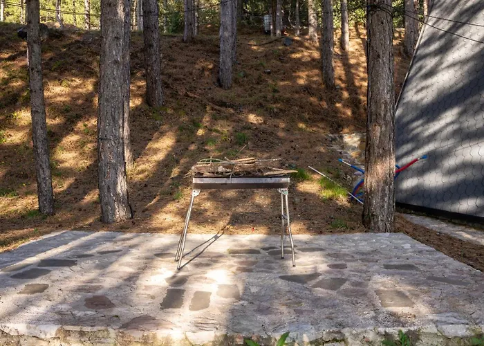 Golden Gjinar By Pikhost Elbasan