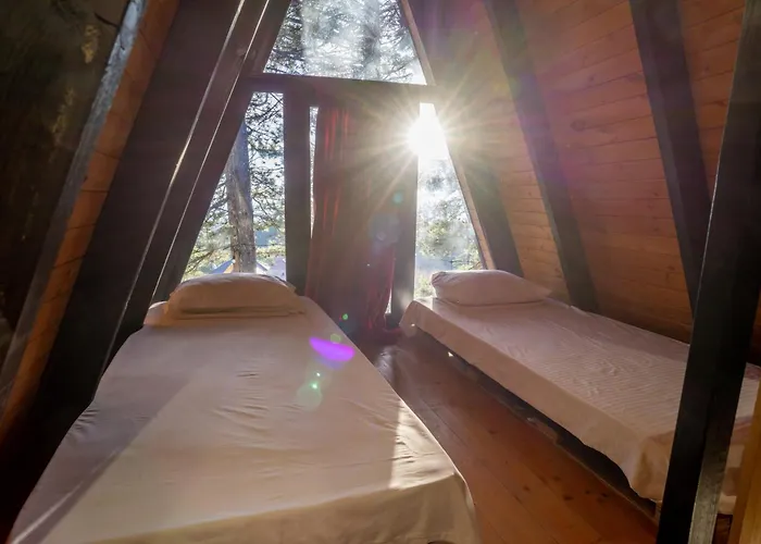 Golden Gjinar By Pikhost * Elbasan