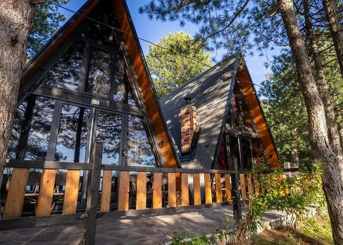 Golden Gjinar By Pikhost * Elbasan